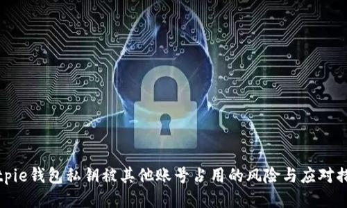Bitpie钱包私钥被其他账号占用的风险与应对措施
