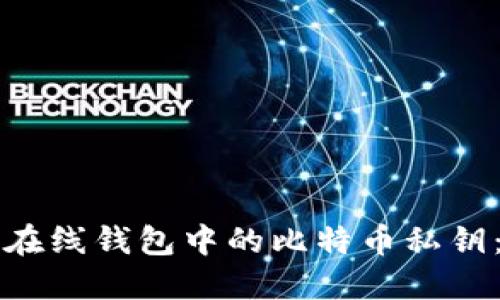 如何查看在线钱包中的比特币私钥：完整指南