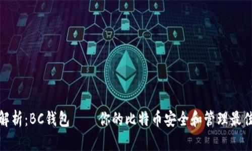 全面解析:BC钱包——你的比特币安全和管理最佳选择