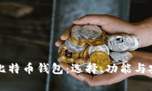 深入探讨比特币钱包：选择、功能与安全性解析