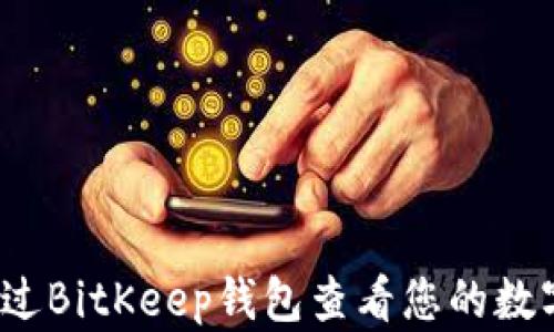 如何通过BitKeep钱包查看您的数字资产?