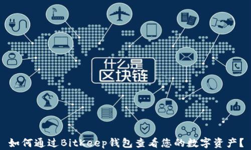 如何通过BitKeep钱包查看您的数字资产?