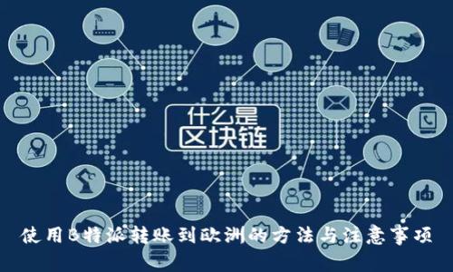 使用B特派转账到欧洲的方法与注意事项