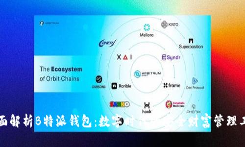 全面解析B特派钱包:数字时代的安全财富管理工具