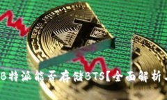深入探讨：B特派能否存储BTS？全面解