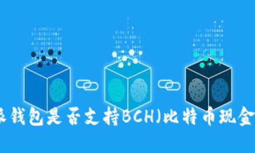 深入探讨:b特派钱包是否支持BCH(比特币现金)及其使用指南