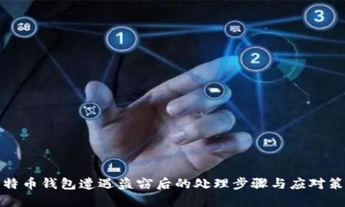 比特币钱包遭遇盗窃后的处理步骤与应对策略