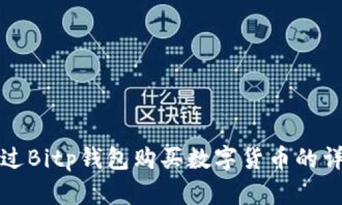 如何通过Bitp钱包购买数字货币的详细指南