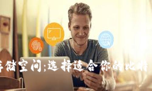 比特币钱包数据存储空间:选择适合你的比特币钱包的最佳策略