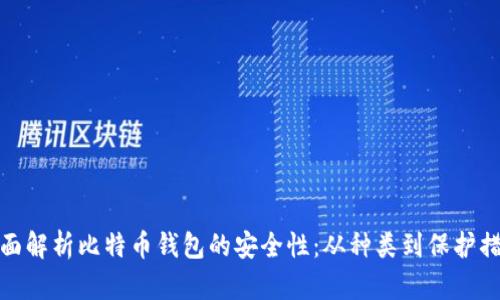 全面解析比特币钱包的安全性:从种类到保护措施