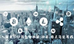 深入解析BitP钱包电脑版：功能、特点