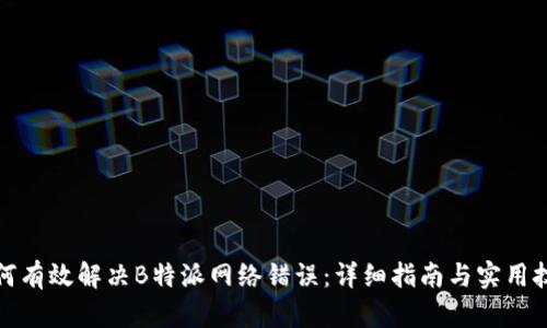 如何有效解决B特派网络错误:详细指南与实用技巧