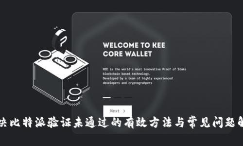 解决比特派验证未通过的有效方法与常见问题解析