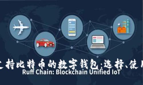 全面解析支持比特币的数字钱包:选择、使用与安全性