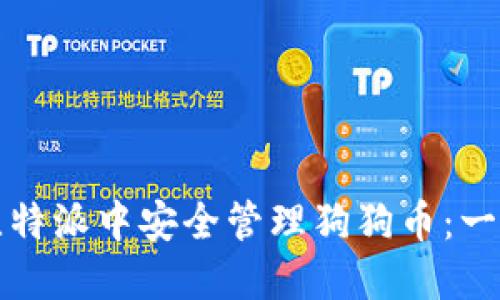 如何在比特派中安全管理狗狗币:一步步指南