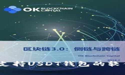 全面解析：国内支持USDT钱包的软件及其使用指南
