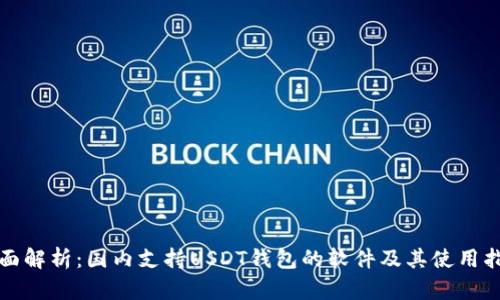 全面解析：国内支持USDT钱包的软件及其使用指南