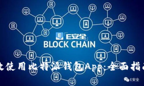 如何安全高效使用比特派钱包App：全面指南与实操技巧