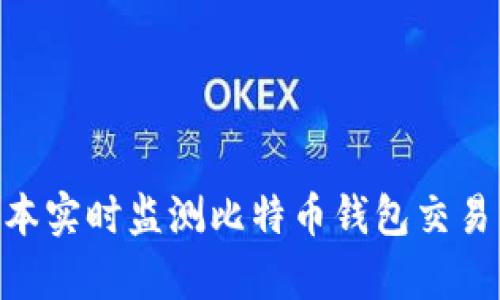 如何使用Python脚本实时监测比特币钱包交易:从基础到实用案例
