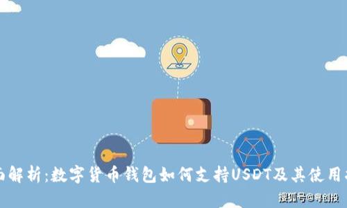 全面解析:数字货币钱包如何支持USDT及其使用指南