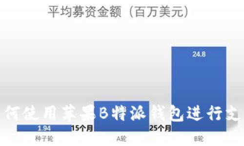 一步步教你如何使用苹果B特派钱包进行支付与管理财务