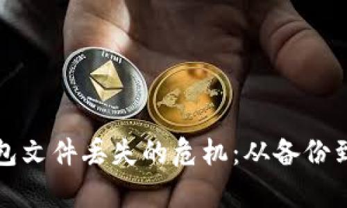 如何应对比特币钱包文件丢失的危机：从备份到恢复的全方位指南