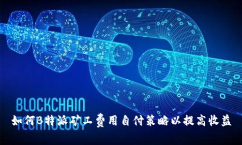 如何B特派矿工费用自付策略以提高收益