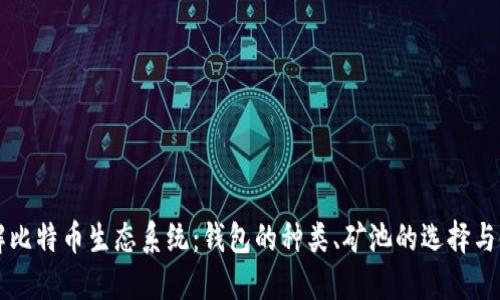 深入了解比特币生态系统:钱包的种类、矿池的选择与使用指南