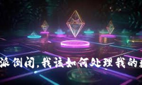 如果比特派倒闭,我该如何处理我的数字资产?