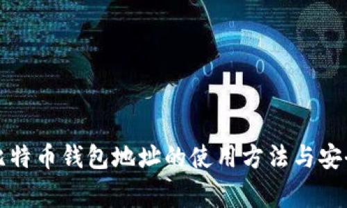 全面解析比特币钱包地址的使用方法与安全注意事项