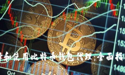 如何选择和使用比特币钱包代理:全面指南与推荐