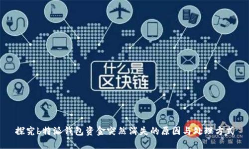 探究b特派钱包资金突然消失的原因与处理方式