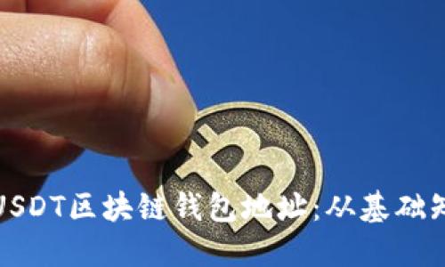 如何准确查询USDT区块链钱包地址:从基础知识到实用技巧