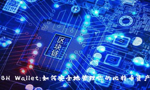 BH Wallet:如何安全地管理你的比特币资产
