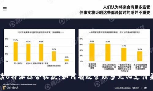 解读B特派综合收款:如何有效管理多元化支付渠道