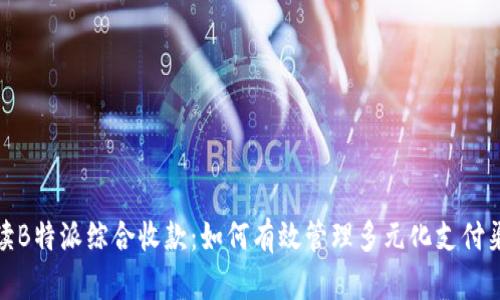 解读B特派综合收款:如何有效管理多元化支付渠道
