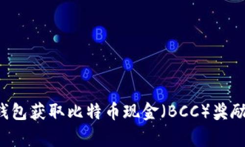 如何通过比特币钱包获取比特币现金（BCC）奖励：步骤与注意事项