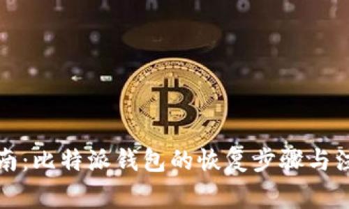 全面指南：比特派钱包的恢复步骤与注意事项