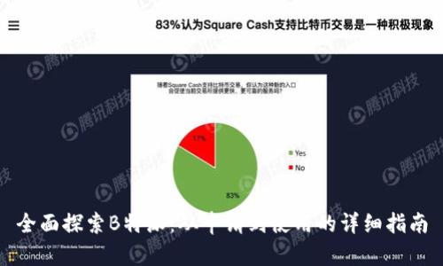 全面探索B特派：从申请到使用的详细指南