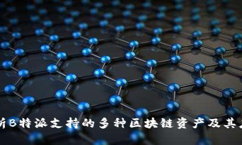深入解析B特派支持的多种区块链资产及其应用潜力