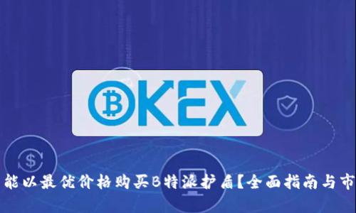 在哪里能以最优价格购买B特派护盾？全面指南与市场分析