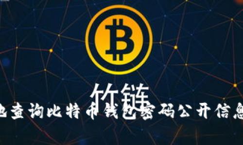 如何安全有效地查询比特币钱包密码公开信息：一个全面指南