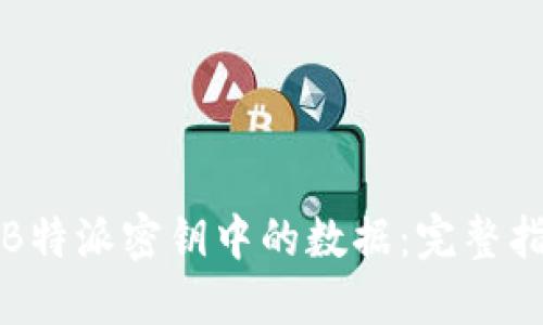 如何高效导出B特派密钥中的数据：完整指南与实践技巧