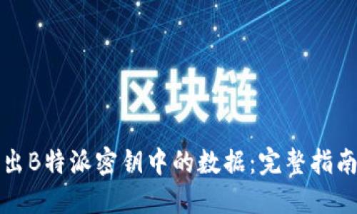 如何高效导出B特派密钥中的数据：完整指南与实践技巧