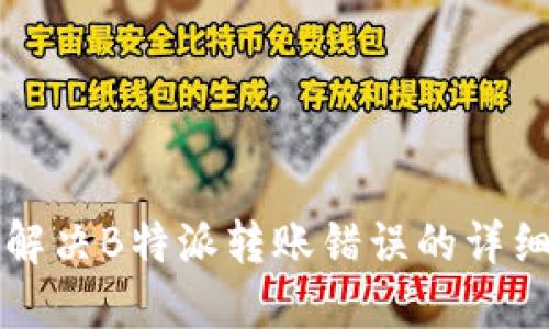 如何解决B特派转账错误的详细指南