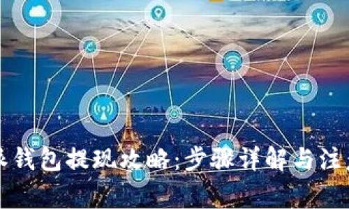 比特派钱包提现攻略:步骤详解与注意事项