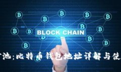 蚂蚁矿池：比特币钱包地址详解与使用指南