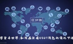 探索数字货币世界：如何在没有USDT钱包的情况下