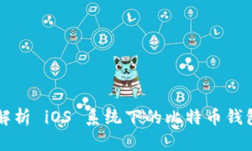 全面解析 iOS 系统下的比特币钱包应用