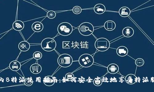 国内B特派使用指南：如何安全高效地享受特派服务